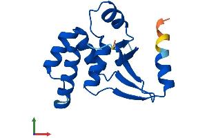 AlphaFold protein structure predicition of Human Recombinant ZSWIM7 Protein, UniprotID Q19AV6