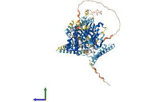 AlphaFold protein structure predicition of Mouse Recombinant Pkn3 Protein, UniprotID Q8K045
