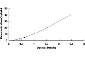Adrenergic, alpha-2C-, Receptor (ADRA2C) ELISA Kit