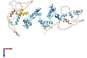 AlphaFold protein structure predicition of Human Recombinant ZNF440 Protein, UniprotID Q8IYI8