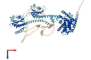 AlphaFold protein structure predicition of Human Recombinant PDE11A Protein, UniprotID Q9HCR9