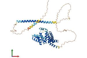 AlphaFold protein structure predicition of Human Recombinant RMDN3 Protein, UniprotID Q96TC7