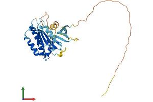 AlphaFold protein structure predicition of Mouse Recombinant Swsap1 Protein, UniprotID Q8VCI7