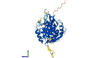 AlphaFold protein structure predicition of Human Recombinant NUDT19 Protein, UniprotID A8MXV4