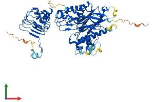 AlphaFold protein structure predicition of Human Recombinant CNOT6 Protein, UniprotID Q9ULM6