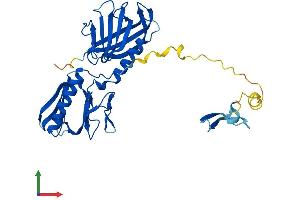 AlphaFold protein structure predicition of Human Recombinant BBS5 Protein, UniprotID Q8N3I7