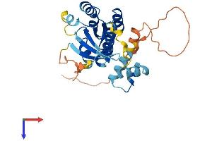 AlphaFold protein structure predicition of Mouse Recombinant Rab40c Protein, UniprotID Q8VHQ4