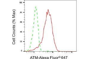 Flow cytometric analysis of ATM expression in HepG2 cells using ATM antibody (ABIN7797668), 1:2,000). (Recombinant ATM anticorps)