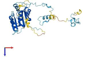 AlphaFold protein structure predicition of Mouse Recombinant Ciapin1 Protein, UniprotID Q8WTY4