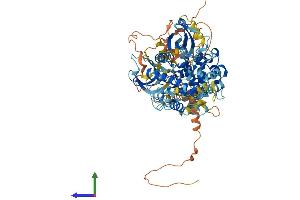 AlphaFold protein structure predicition of Human Recombinant RPS6KA4 Protein, UniprotID O75676