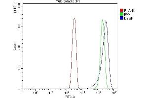 Flow Cytometry analysis of SiHa cells using anti-Dysferlin/DYSF antibody (ABIN7601939).