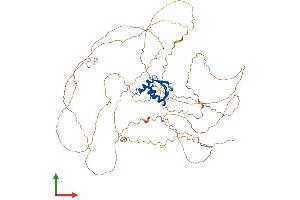 AlphaFold protein structure predicition of Human Recombinant ELF4 Protein, UniprotID Q99607