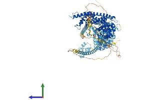 AlphaFold protein structure predicition of Mouse Recombinant Daam1 Protein, UniprotID Q8BPM0