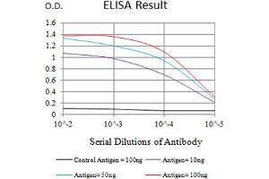 Black line: Control Antigen (100 ng),Purple line: Antigen (10 ng), Blue line: Antigen (50 ng), Red line:Antigen (100 ng) (CD39 anticorps  (AA 38-179))