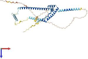 AlphaFold protein structure predicition of Mouse Recombinant Smarce1 Protein, UniprotID O54941
