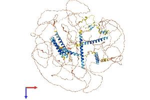 AlphaFold protein structure predicition of Mouse Recombinant Akna Protein, UniprotID Q80VW7