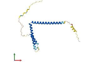 AlphaFold protein structure predicition of Human Recombinant MED28 Protein, UniprotID Q9H204