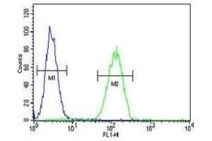NEU1 antibody flow cytometric analysis of MDA-MB231 cells (green) compared to a negative control (blue).