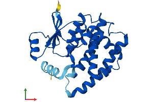 AlphaFold protein structure predicition of Mouse Recombinant Gsta1 Protein, UniprotID P13745