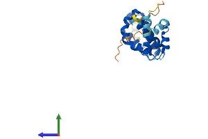 AlphaFold protein structure predicition of Human Recombinant STAG3L1 Protein, UniprotID P0CL83
