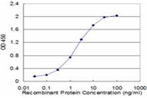 Detection limit for recombinant GST tagged FAS is approximately 0. (FAS anticorps  (AA 20-119))