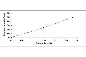 Typical standard curve (MYH11 Kit ELISA)