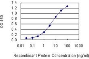 Detection limit for recombinant GST tagged CBL is 0. (CBL anticorps  (AA 736-835))