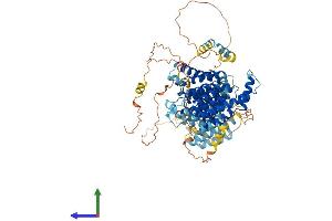 AlphaFold protein structure predicition of Human Recombinant NOC2L Protein, UniprotID Q9Y3T9