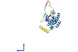 AlphaFold protein structure predicition of Human Recombinant GEM Protein, UniprotID P55040