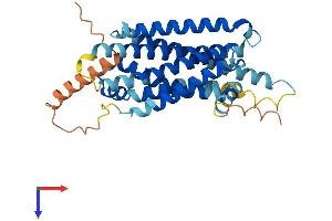 AlphaFold protein structure predicition of Human Recombinant MC4R Protein, UniprotID P32245