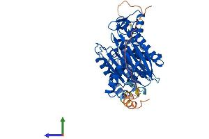 AlphaFold protein structure predicition of Mouse Recombinant Ppm1f Protein, UniprotID Q8CGA0