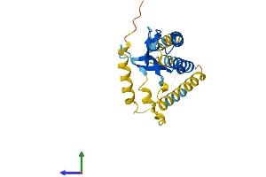 AlphaFold protein structure predicition of Human Recombinant CHIC1 Protein, UniprotID Q5VXU3