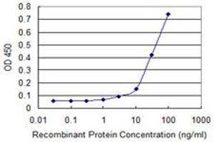 Detection limit for recombinant GST tagged PCAF is approximately 10ng/ml as a capture antibody. (KAT2B anticorps  (AA 353-452))