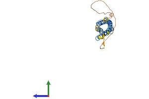 AlphaFold protein structure predicition of Mouse Recombinant Synpr Protein, UniprotID Q8BGN8
