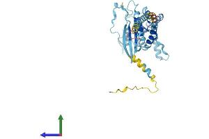 AlphaFold protein structure predicition of Human Recombinant SEPTIN2 Protein, UniprotID Q15019