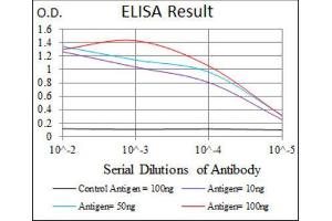 ELISA image for anti-Sequestosome 1 (SQSTM1) (AA 232-356) antibody (ABIN1846090) (SQSTM1 anticorps  (AA 232-356))