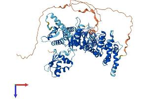 AlphaFold protein structure predicition of Human Recombinant HECTD2 Protein, UniprotID Q5U5R9