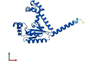 AlphaFold protein structure predicition of Mouse Recombinant Dcakd Protein, UniprotID Q8BHC4