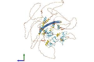 AlphaFold protein structure predicition of Mouse Recombinant St18 Protein, UniprotID Q80TY4