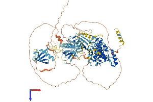 AlphaFold protein structure predicition of Mouse Recombinant Prkd1 Protein, UniprotID Q62101