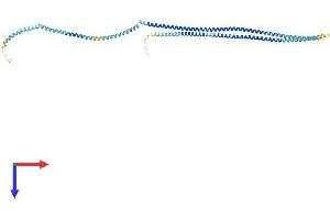 AlphaFold protein structure predicition of Human Recombinant TCHP Protein, UniprotID Q9BT92