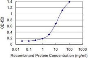 Detection limit for recombinant GST tagged PCF11 is 0.