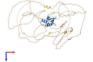 AlphaFold protein structure predicition of Mouse Recombinant Elf4 Protein, UniprotID Q9Z2U4