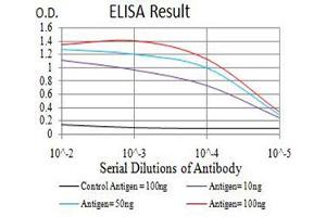 Black line: Control Antigen (100 ng),Purple line: Antigen (10 ng), Blue line: Antigen (50 ng), Red line:Antigen (100 ng) (AFAP1L2 anticorps  (AA 674-818))