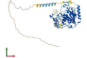 AlphaFold protein structure predicition of Human Recombinant ST3GAL5 Protein, UniprotID Q9UNP4