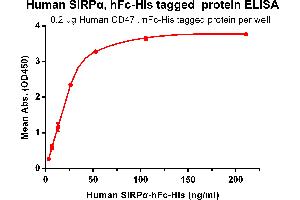 ELISA plate pre-coated by 2 μg/mL (100 μL/well) Human CD47, mFc-His tagged protein (ABIN6961081) can bind its native ligand Human SIRPα, hFc-His tagged protein (ABIN6961082) in a linear range of 3.