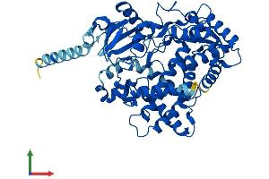 AlphaFold protein structure predicition of Human Recombinant CYP2D6 Protein, UniprotID P10635