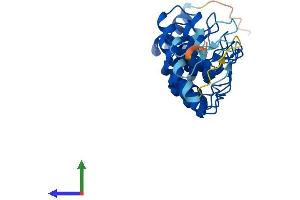 AlphaFold protein structure predicition of Human Recombinant ANKRD29 Protein, UniprotID Q8N6D5