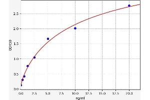 Typical standard curve (Septin 7 Kit ELISA)
