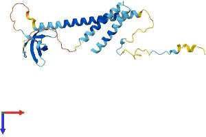 AlphaFold protein structure predicition of Human Recombinant SMNDC1 Protein, UniprotID O75940